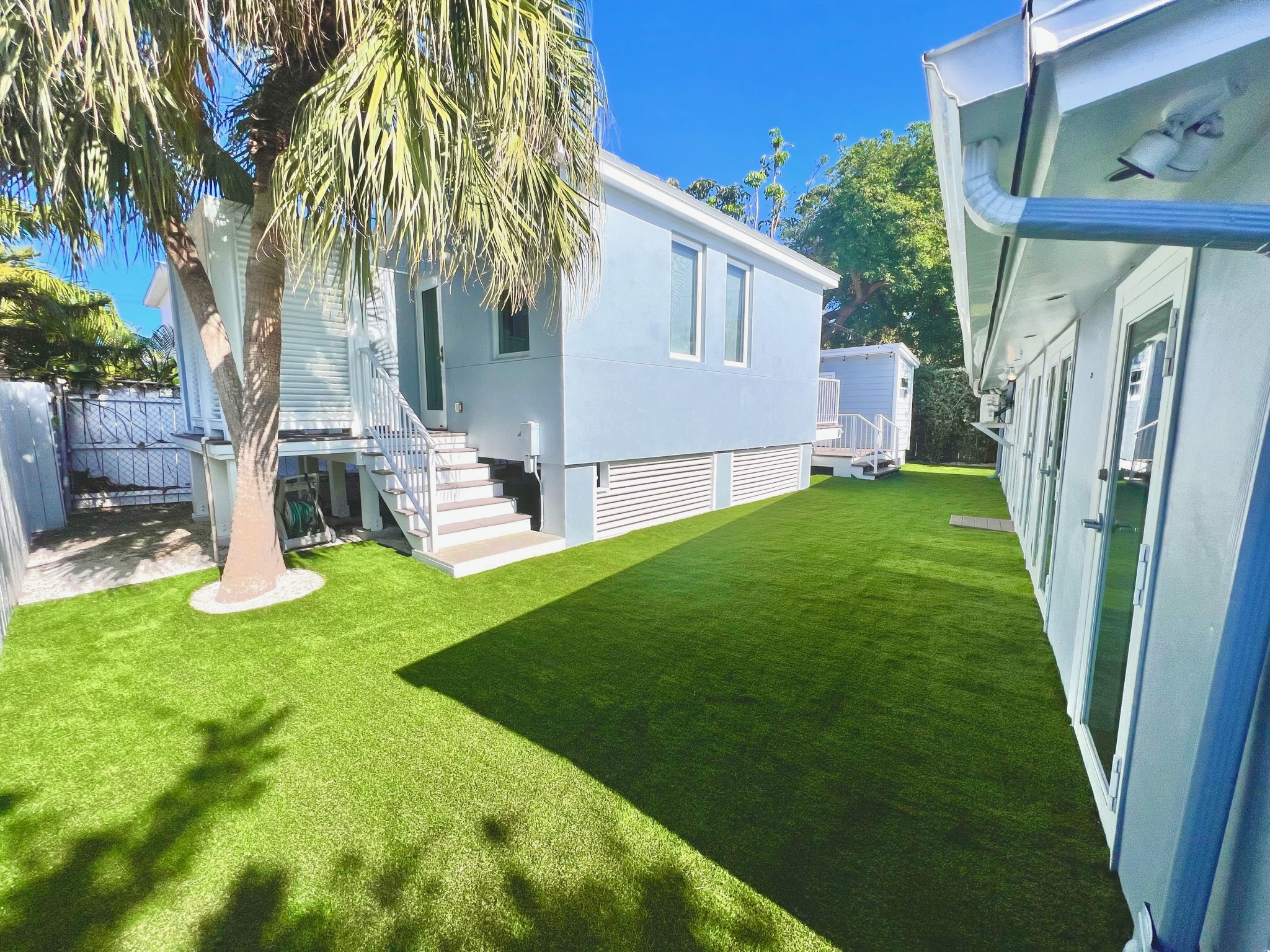 Backyard Turf Landscaping with Palm Trees